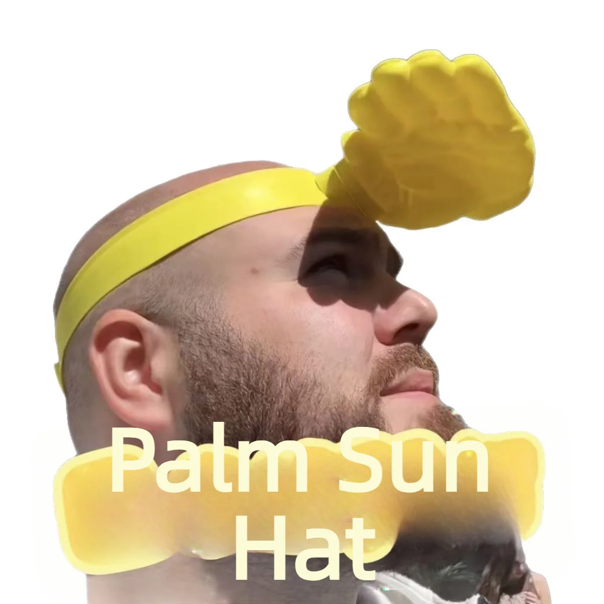 1/3 шт. Новинка: Забавный солн – обзор и цена Visor Sun Hat